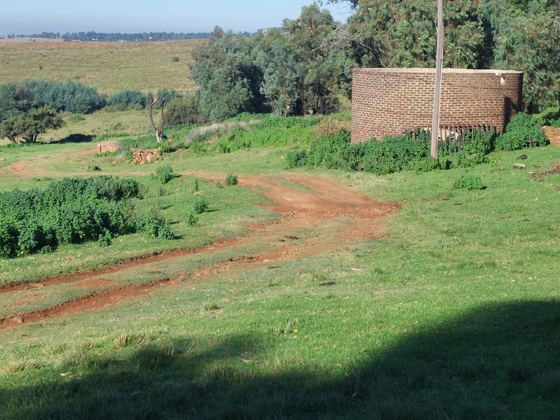 146ha Farm at a Remarkable Price, Premium Farm with Views & Value - Photo 10