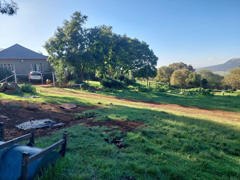 146ha Farm at a Remarkable Price, Premium Farm with Views & Value - Photo 7