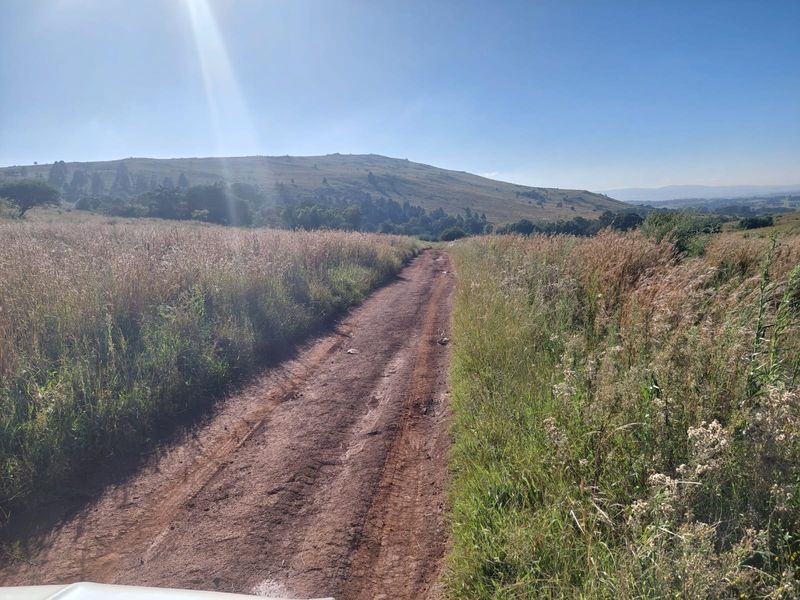 146ha Farm at a Remarkable Price, Premium Farm with Views & Value - Photo 6