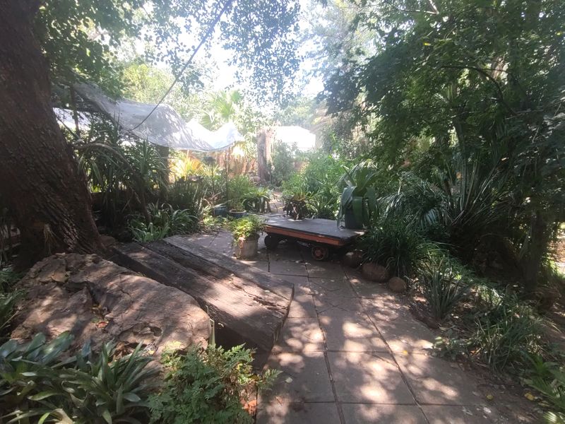 Spacious Family Home with Endless Business Potential in Heidelberg Central - Photo 8