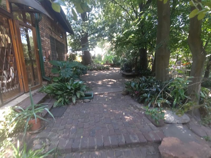 Spacious Family Home with Endless Business Potential in Heidelberg Central - Photo 6