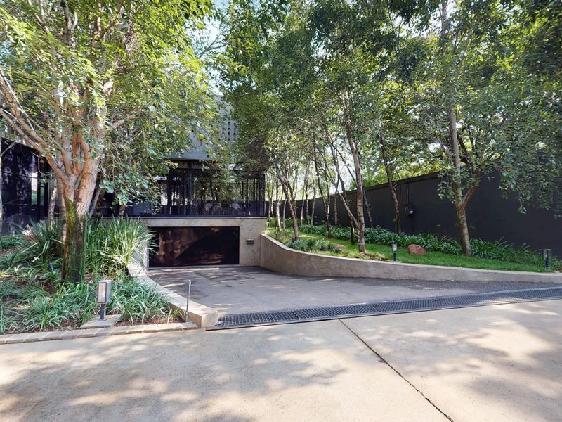 A modern residential exterior featuring a concrete driveway leading to an underground garage, surrounded by mature trees and landscaped garden beds.