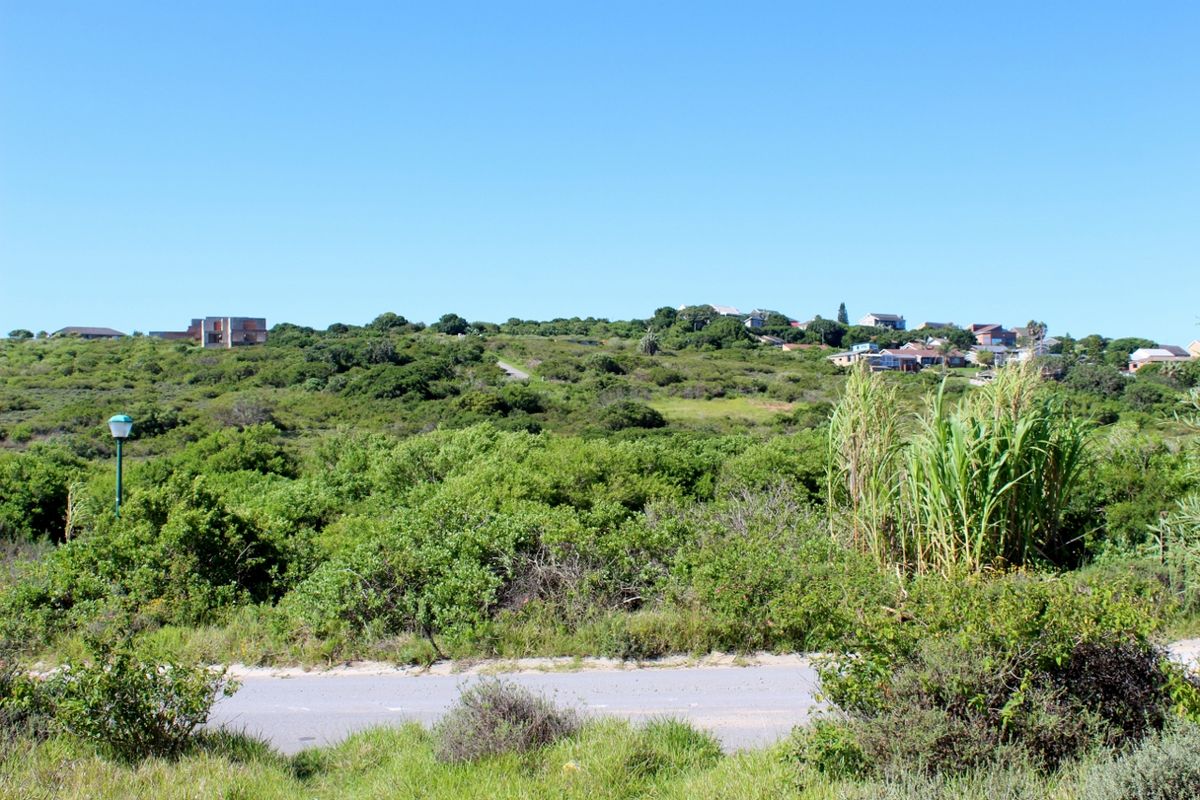 Affordable East Facing Plot in Emerald Heights, Port Alfred - Photo 4