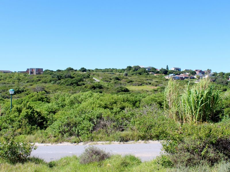 Affordable East Facing Plot in Emerald Heights, Port Alfred - Photo 4