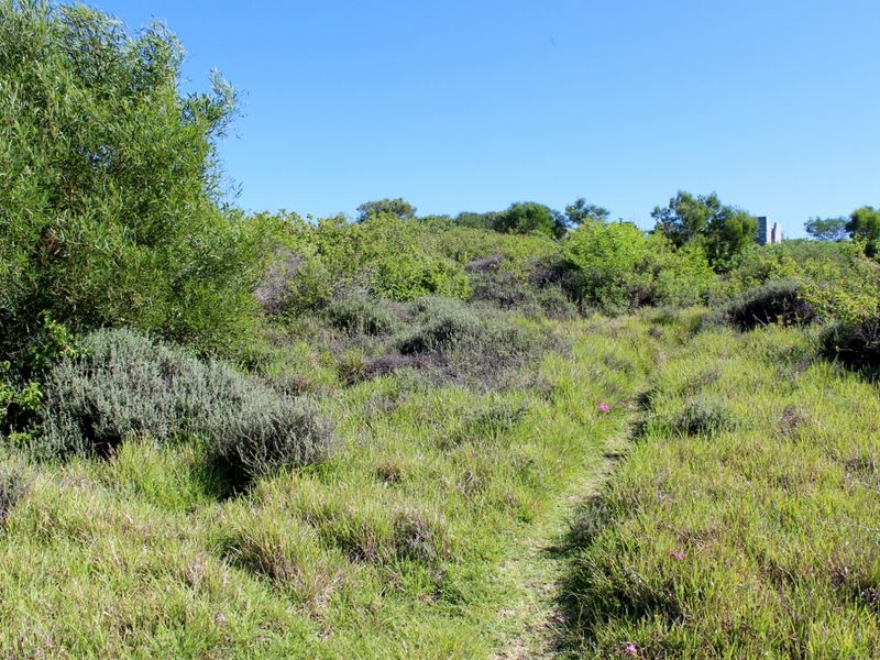 Affordable East Facing Plot in Emerald Heights, Port Alfred - Photo 6