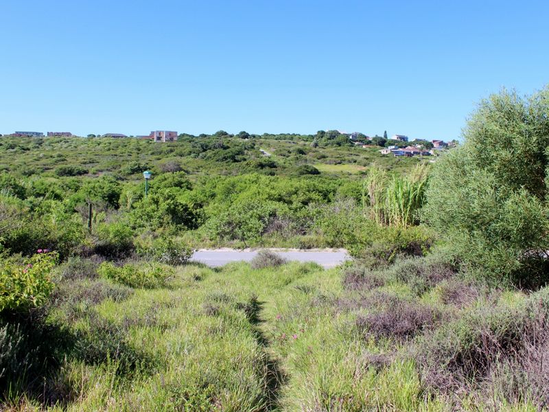 Affordable East Facing Plot in Emerald Heights, Port Alfred - Photo 10