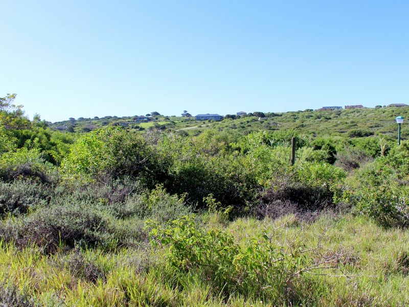 Affordable East Facing Plot in Emerald Heights, Port Alfred - Photo 9