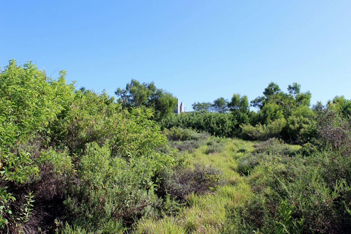 Affordable East Facing Plot in Emerald Heights, Port Alfred - Photo 2