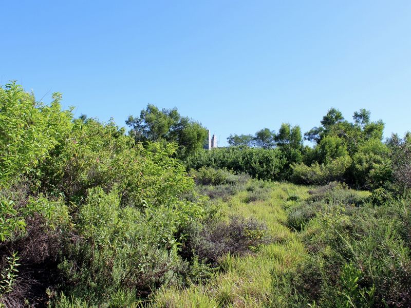 Affordable East Facing Plot in Emerald Heights, Port Alfred - Photo 2