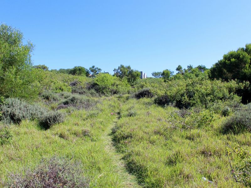 Affordable East Facing Plot in Emerald Heights, Port Alfred - Photo 8