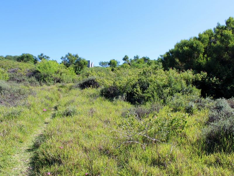 Affordable East Facing Plot in Emerald Heights, Port Alfred - Photo 7