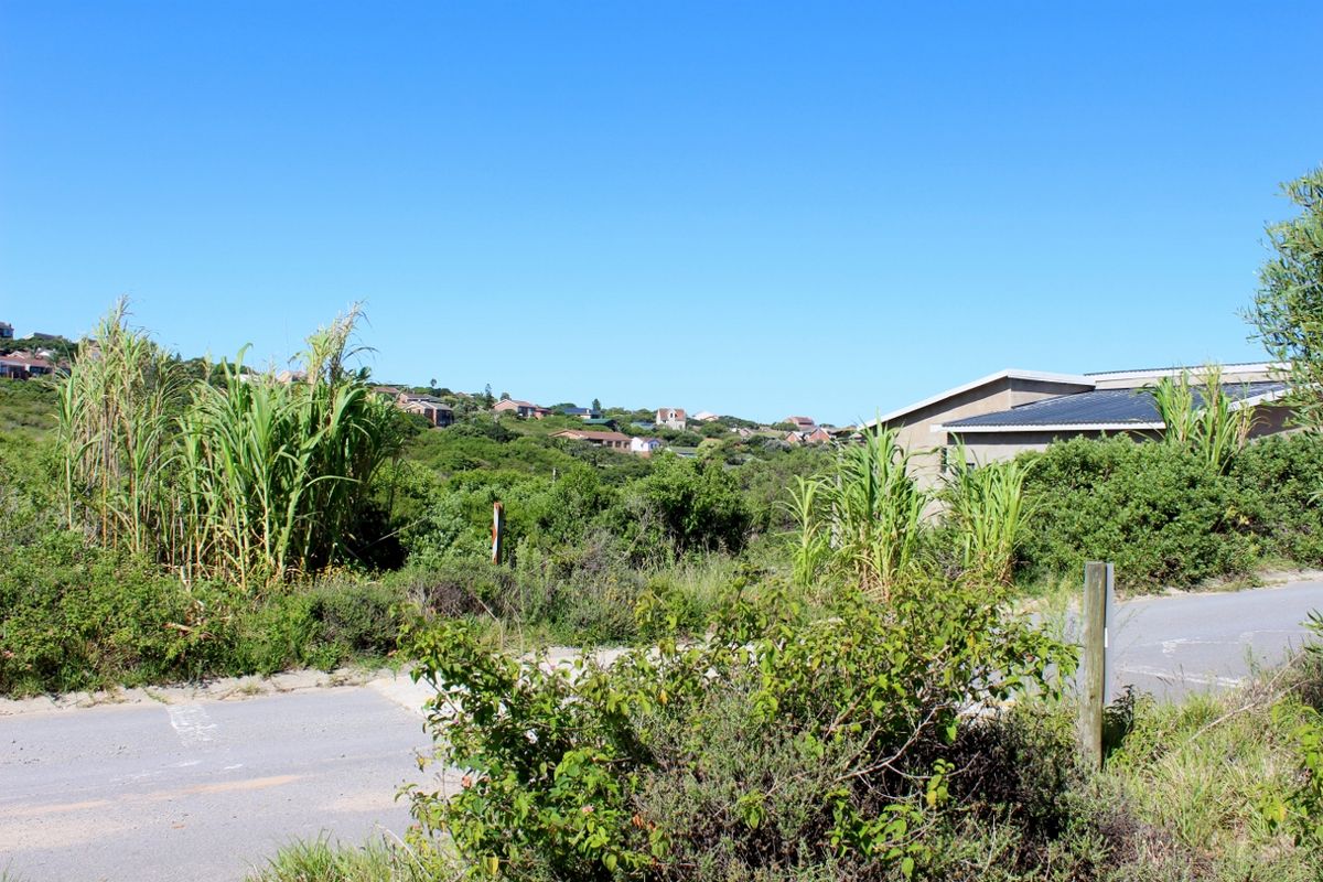 Affordable East Facing Plot in Emerald Heights, Port Alfred - Photo 5