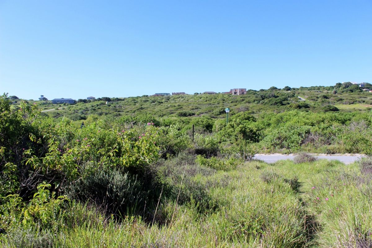 Affordable East Facing Plot in Emerald Heights, Port Alfred - Photo 3
