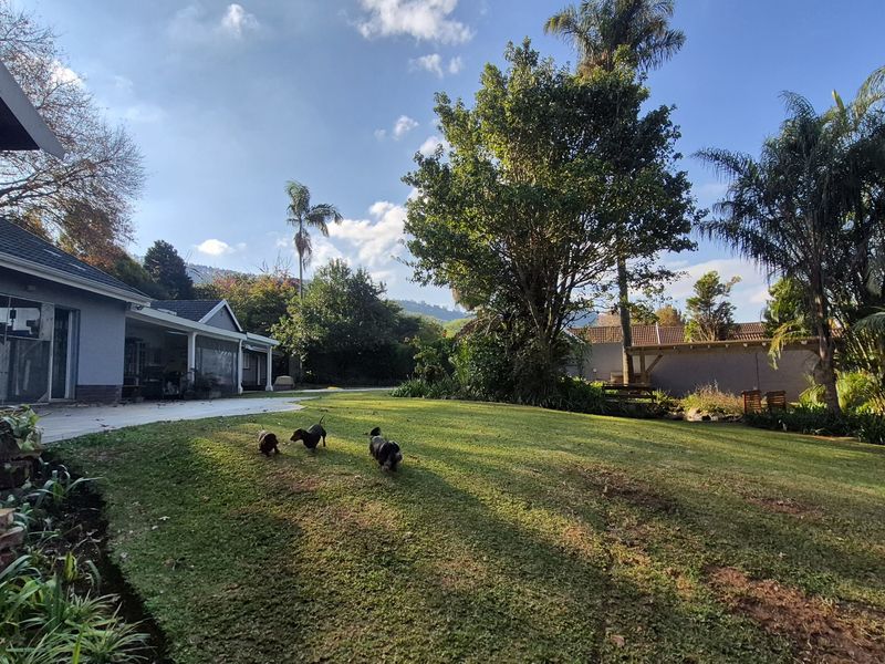A spacious rear garden featuring a well-maintained lawn, mature trees, and a covered patio area attached to the main house structure.