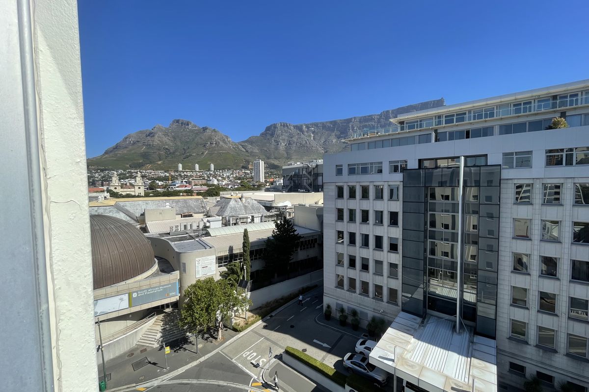 Spacious One-Bedroom Apartment with Stunning City & Mountain Views - Photo 3