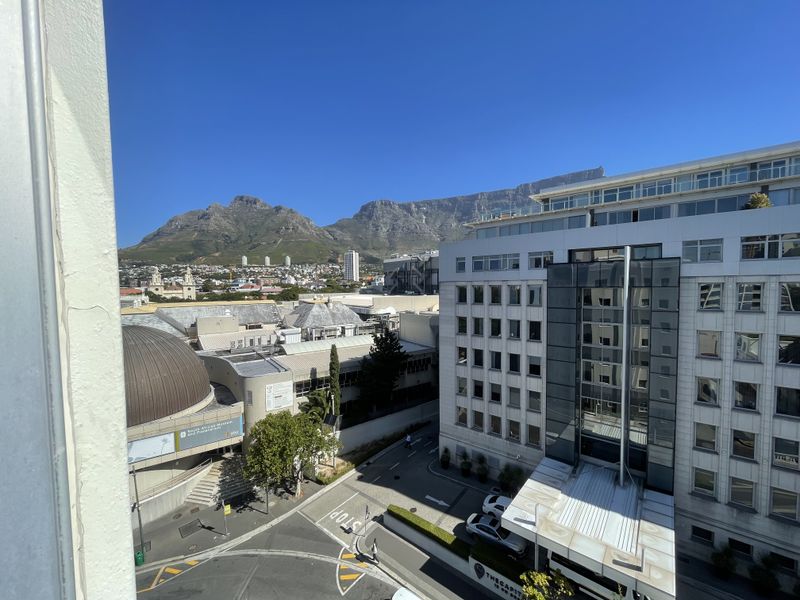 Spacious One-Bedroom Apartment with Stunning City & Mountain Views - Photo 3