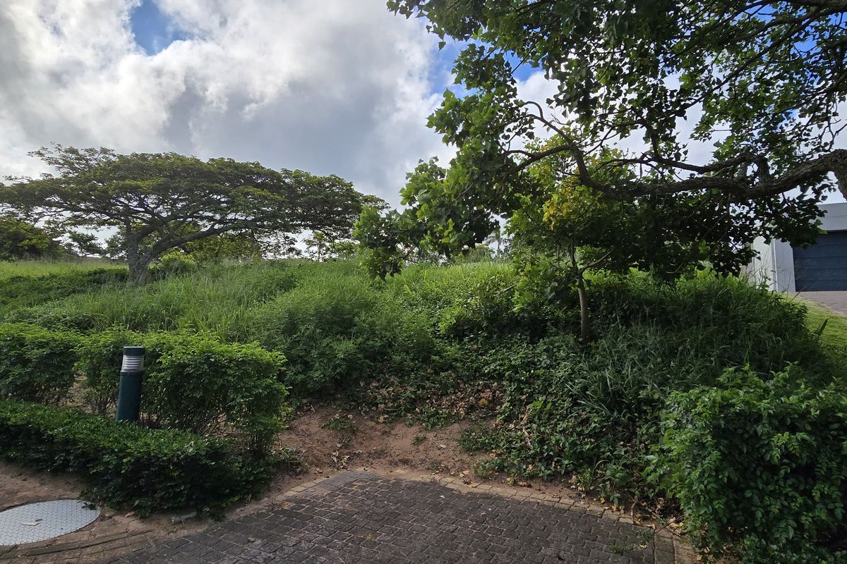 A view of a vacant residential plot featuring established trees, natural vegetation, and paved driveway access.