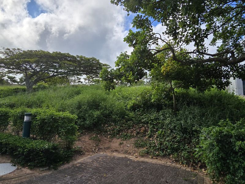 Vacant Land for Sale - Photo 3