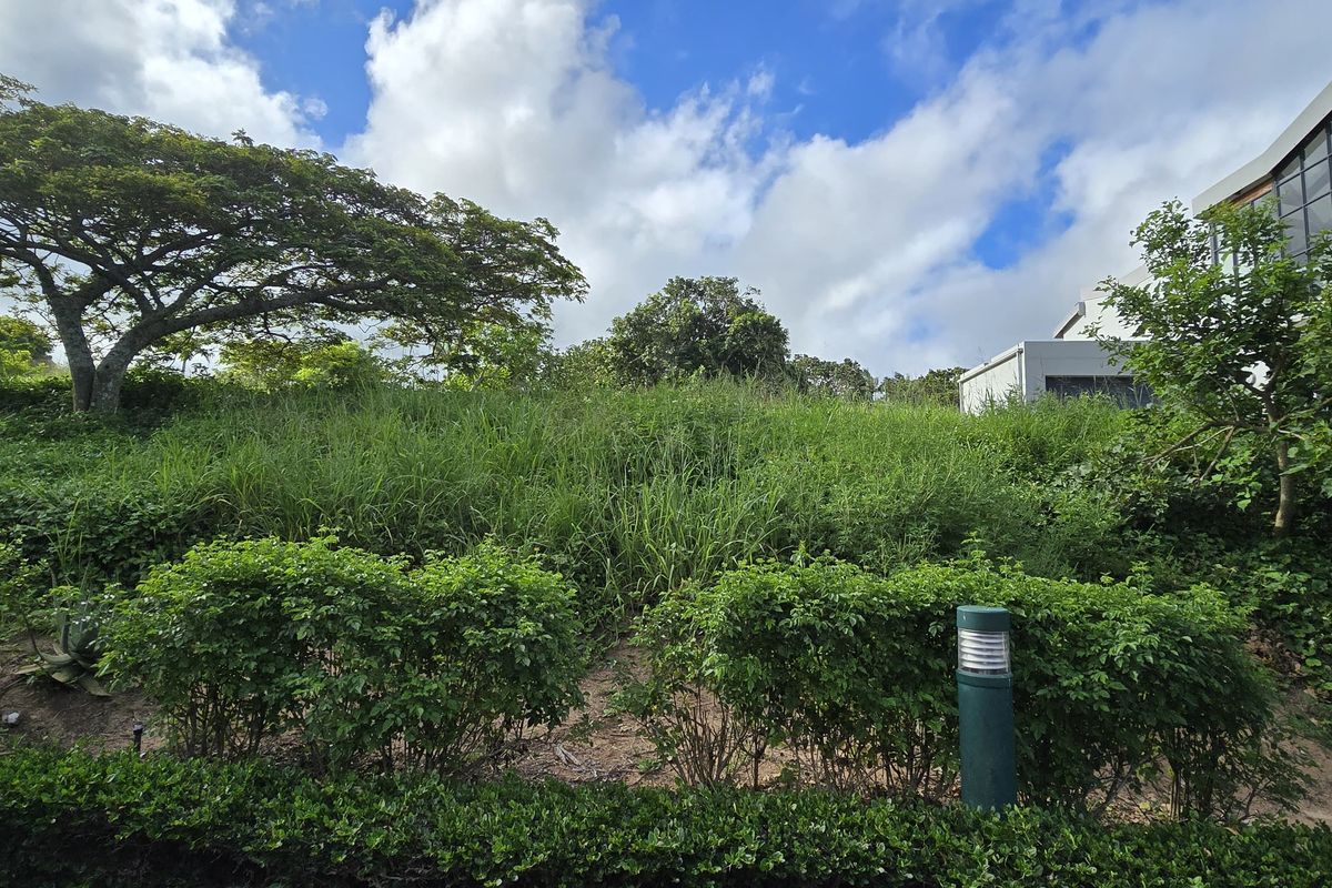 A view of a sloped, grass-covered residential vacant land plot with established trees and shrubs, adjacent to an existing modern structure.