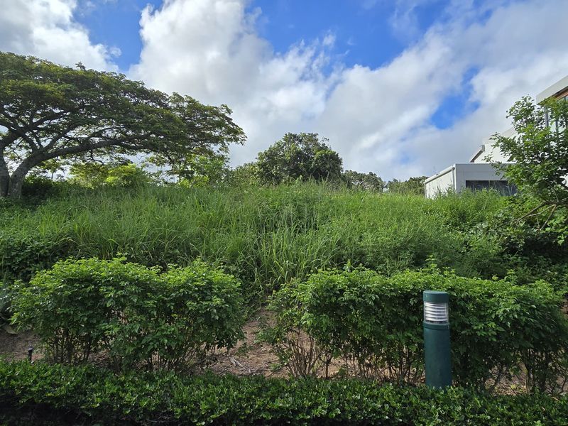 Vacant Land for Sale - Photo 2