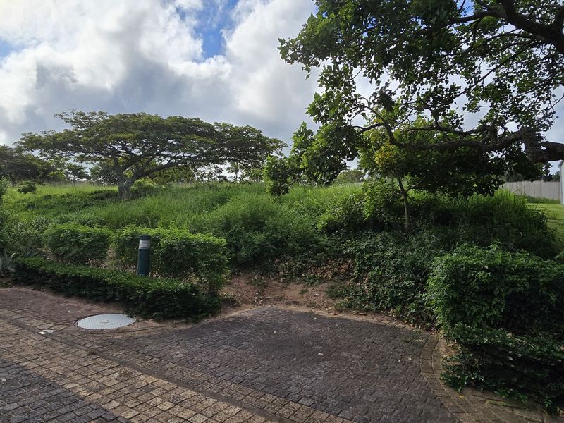 Vacant Land for Sale - Photo 1
