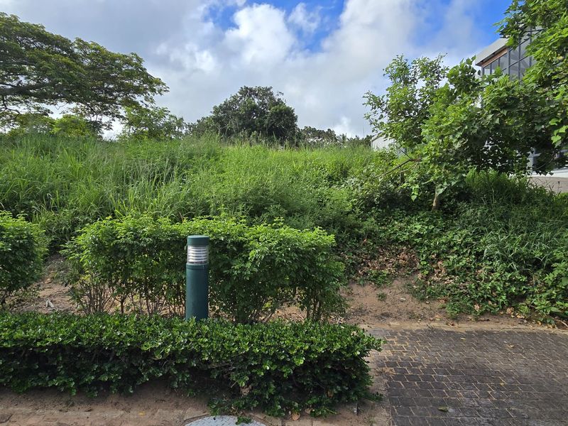 Vacant Land for Sale - Photo 5