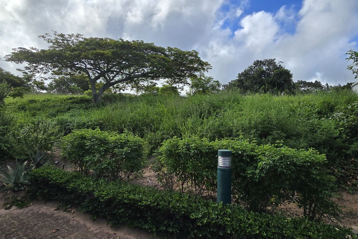 A view of a vacant residential plot featuring established trees, shrubs, and natural vegetation, providing a blank canvas for future development.