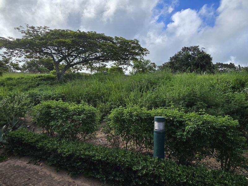 Vacant Land for Sale - Photo 4
