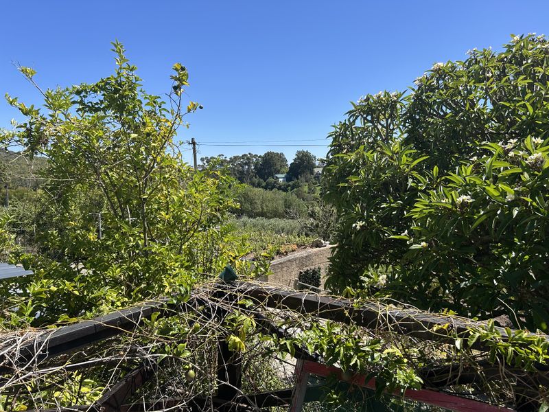 Country Living at its Finest - Photo 5