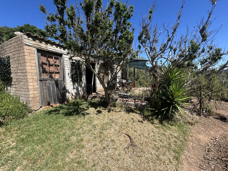 Country Living at its Finest - Photo 8