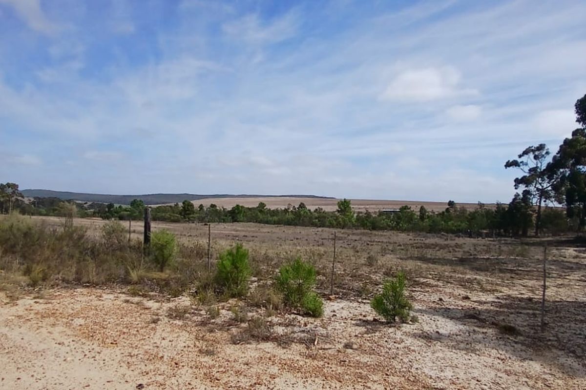 Versatile Farmland in Napier - Photo 4