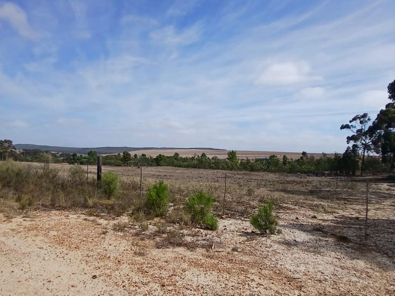 Versatile Farmland in Napier - Photo 4