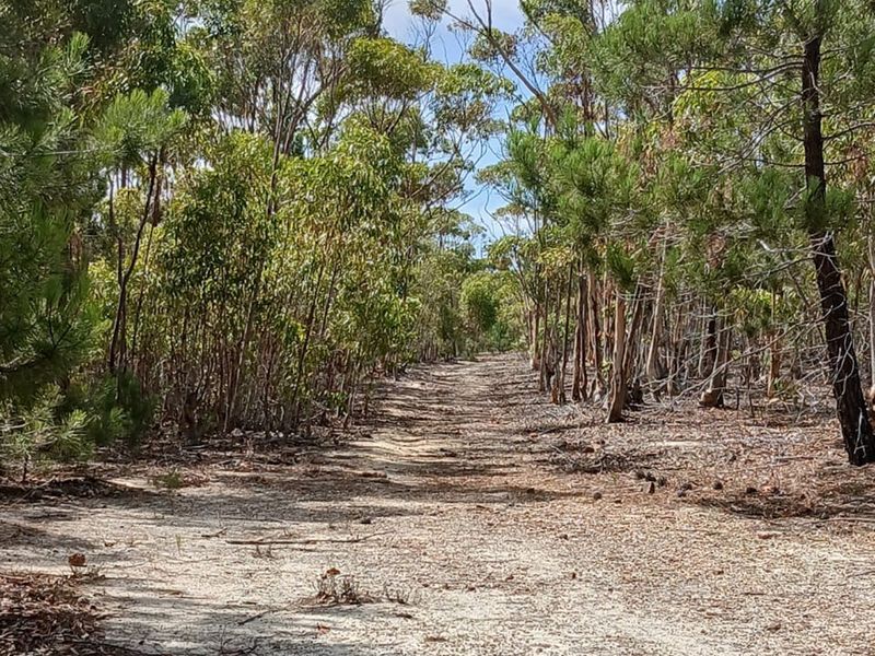 Versatile Farmland in Napier - Photo 2