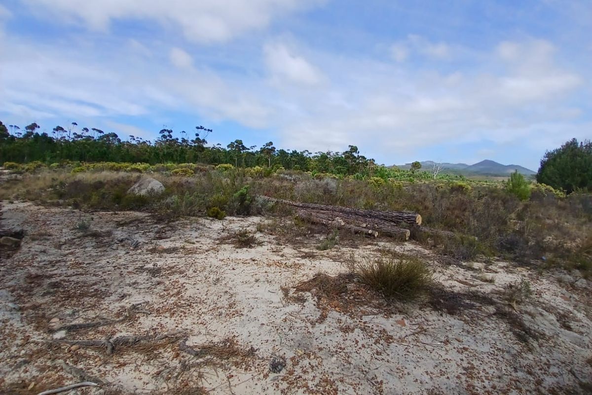 Versatile Farmland in Napier - Photo 5
