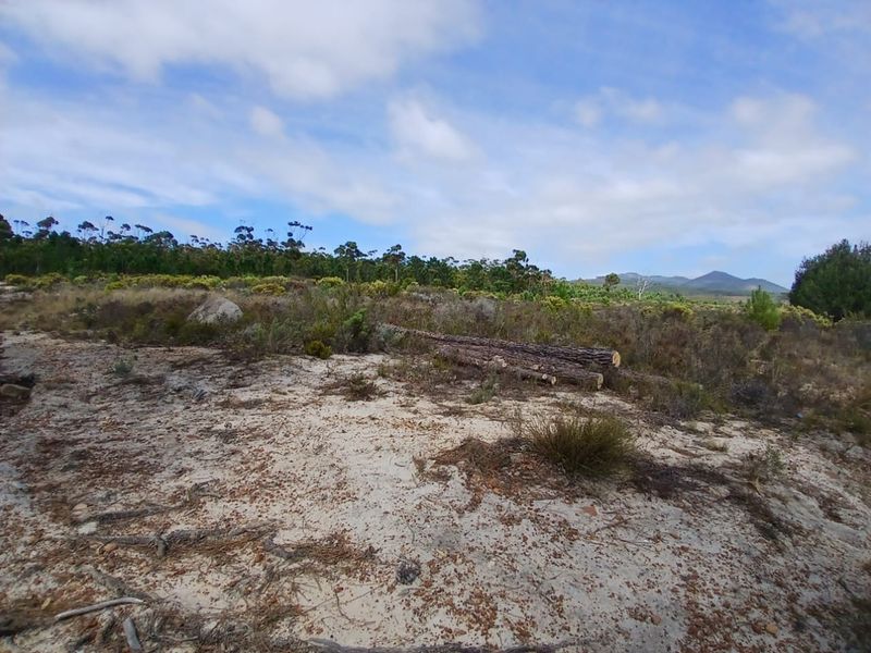 Versatile Farmland in Napier - Photo 5