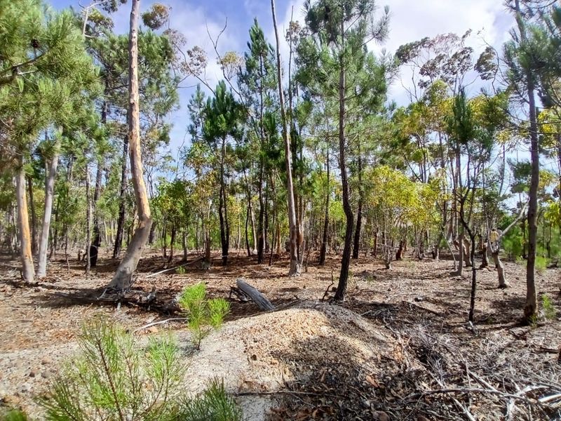 Versatile Farmland in Napier - Photo 10