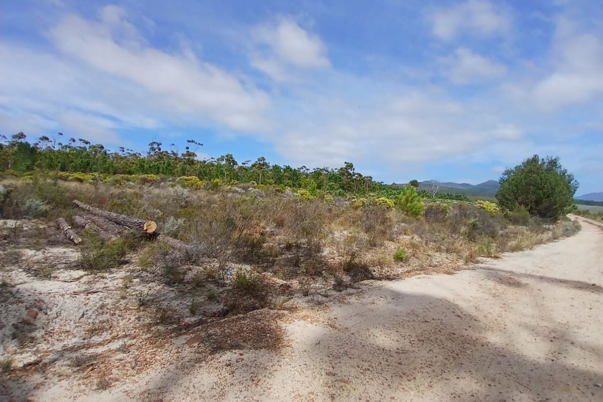 Versatile Farmland in Napier - Photo 5