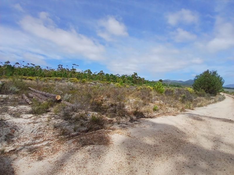 Versatile Farmland in Napier - Photo 6
