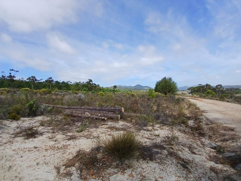 Versatile Farmland in Napier - Photo 7