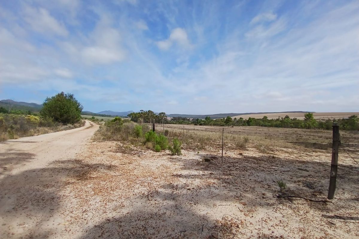 Versatile Farmland in Napier - Photo 3