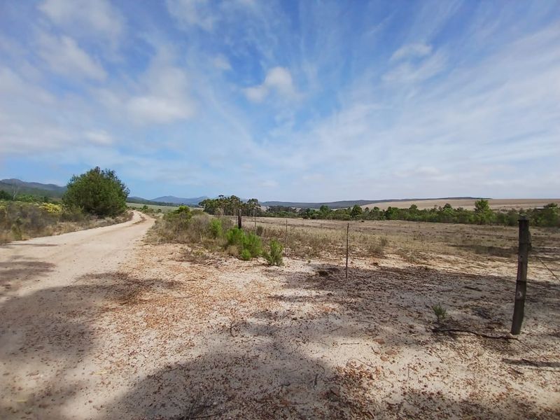 Versatile Farmland in Napier - Photo 3