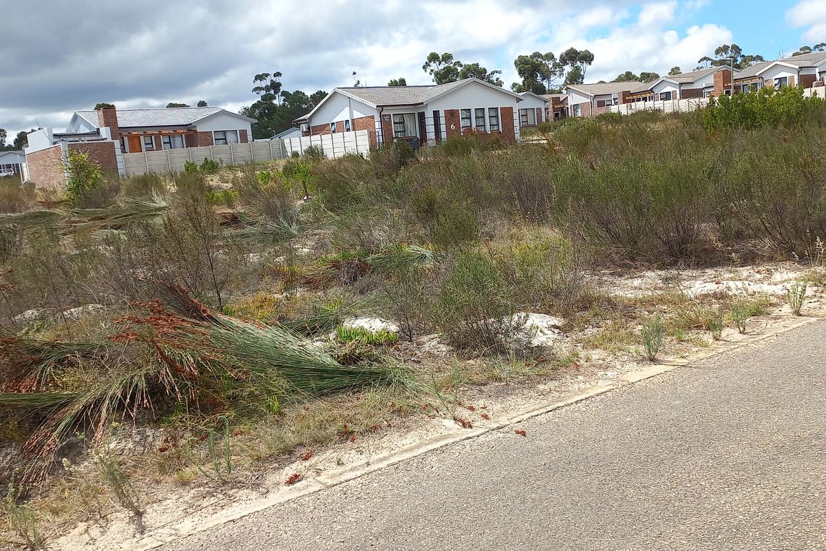 Vacant Stand for Sale in Albertinia! - Photo 4