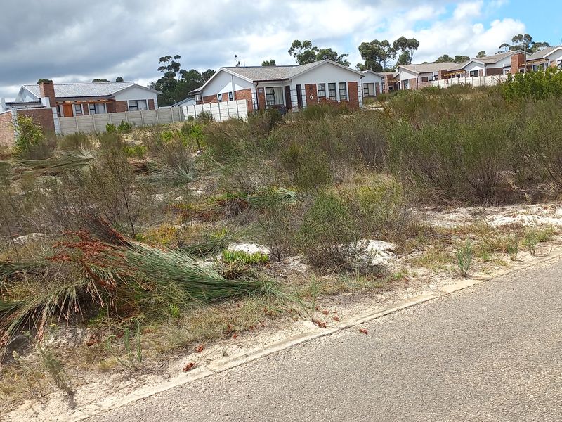 Vacant Stand for Sale in Albertinia! - Photo 4