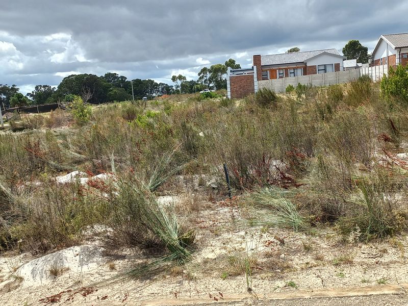 Vacant Stand for Sale in Albertinia! - Photo 8