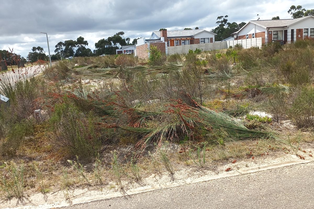 Vacant Stand for Sale in Albertinia! - Photo 3