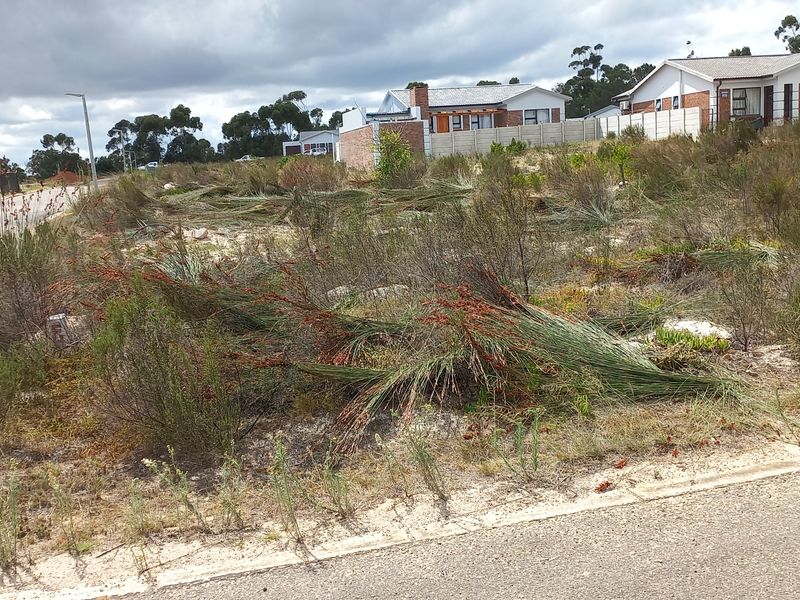 Vacant Stand for Sale in Albertinia! - Photo 3