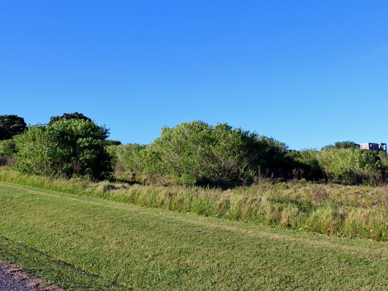Scenic Plot with Sea and Country Views in Umdoni Downs, Port Alfred - Photo 10