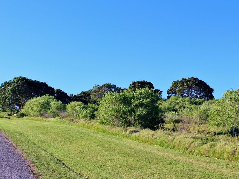Scenic Plot with Sea and Country Views in Umdoni Downs, Port Alfred - Photo 8