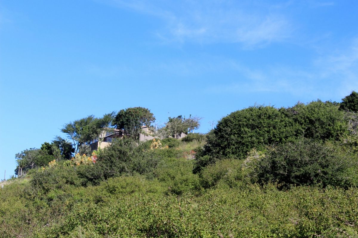 A view of a sloped residential plot featuring dense native vegetation and natural terrain, with a glimpse of a structure at the top.