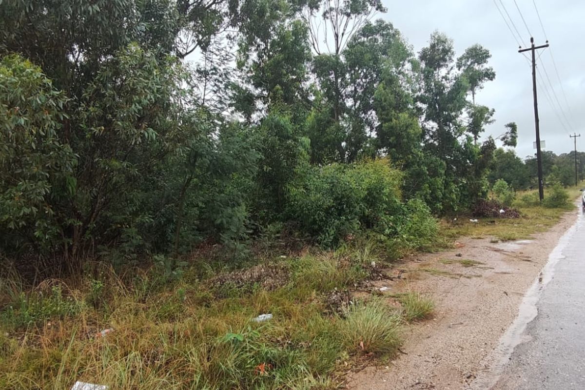 Prime 22000 m2 vacant land for sale in Greenbushes, Port Elizabeth—your canvas for future dreams! - Photo 5